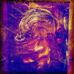 Fuck The Facts : Fuck the Facts - Fistfuck